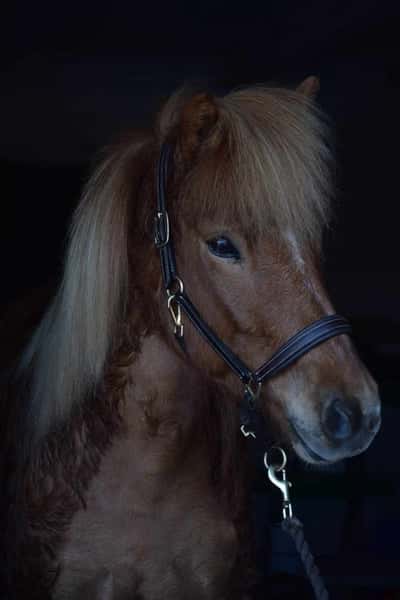 Inlägg 85 av Allround med titeln Min fina tjej💕🫶🏻