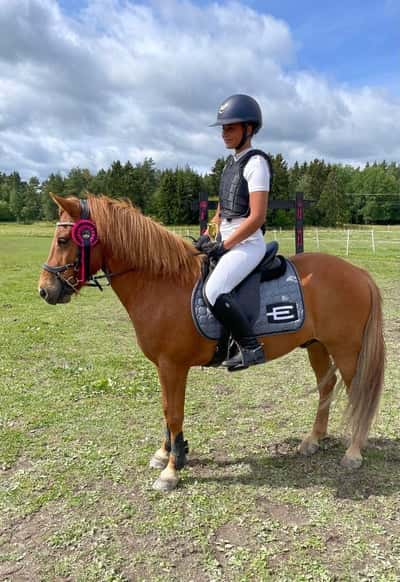 Post 91 of Show jumping with title Tävling🥈💕