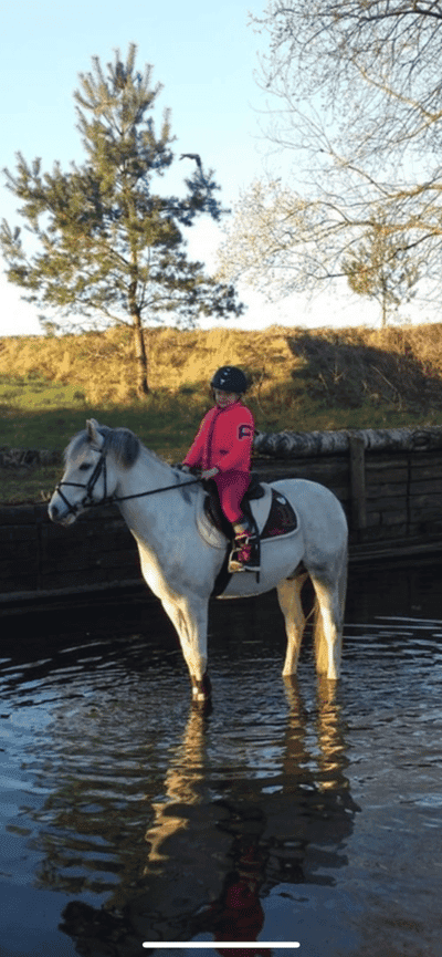 Inlägg 16 av Fälttävlan med titeln Fick hem Fantomen 