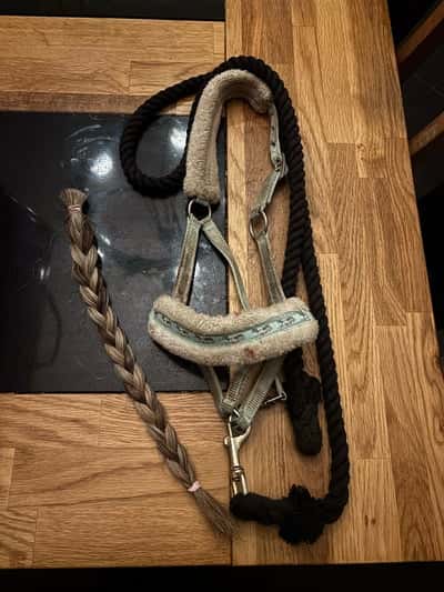 Inlägg 20 av Frihetsdressyr med titeln 2003-2025🕊️