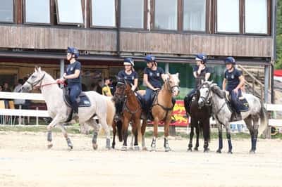 Inlägg 4 av Mounted games med titeln Lag VM 2022🕊