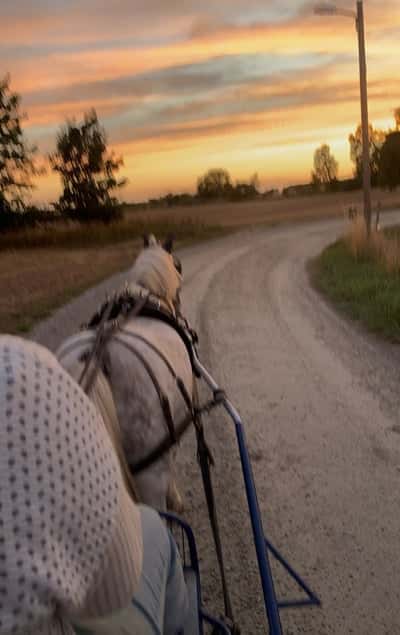 Inlägg 10 av Sportkörning