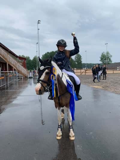 Post 200 of Show jumping with title Hur bra är inte denna ponny?🐴🫶 4 rosetter på en dag❤️