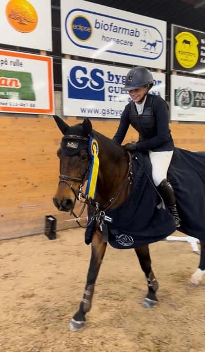 Post 460 of Show jumping with title Bästa Olle vann Msv A ⭐️