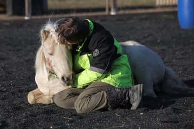 Inlägg 15 av Trickridning med titeln Mys❤️