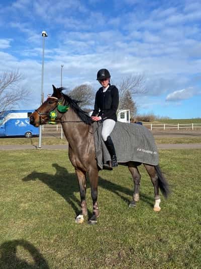 Post 199 of Show jumping