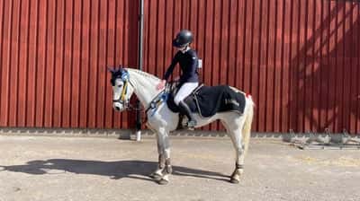 Post 196 of Show jumping with title Arvika ridklubb❤️⚡️