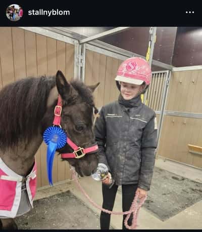 Post 20 of Show jumping with title Uppfödning 