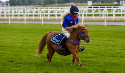 Inlägg 17 av Avel med titeln Ponnygalopp