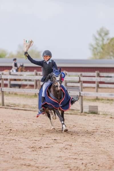 Post 305 of Show jumping with title Vinst Lätt B