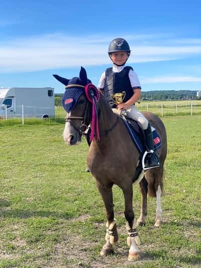 Post 211 of Show jumping with title Fröken 