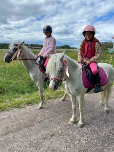 Inlägg 123 av Allround med titeln Jag och min kusin på våra ponnysar🥰😍