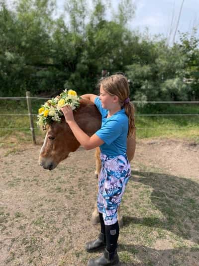 Inlägg 2 av Allround med titeln Paljett 😻