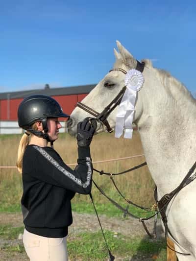 Post 307 of Show jumping with title Rio på pay and jump