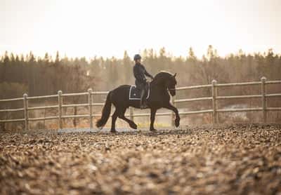 Matheus af Gisslarbo