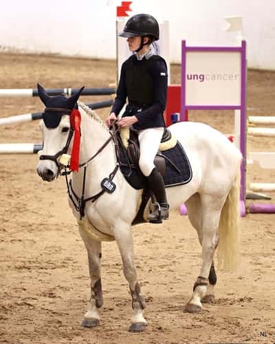 Post 193 of Show jumping with title Karlstads ridklubb❤️⚡️