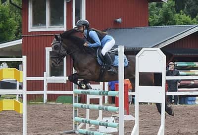 Inlägg 11 av Allround med titeln Hopptävling 