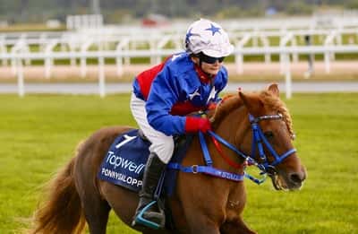 Inlägg 22 av Avel med titeln Ponnygalopp