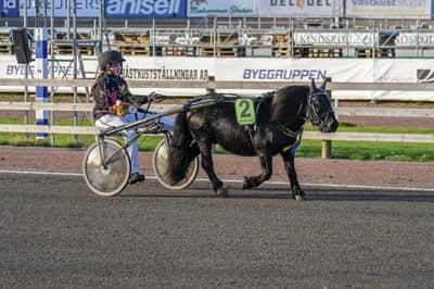 Inlägg 55 av Ponnytrav med titeln 🥳