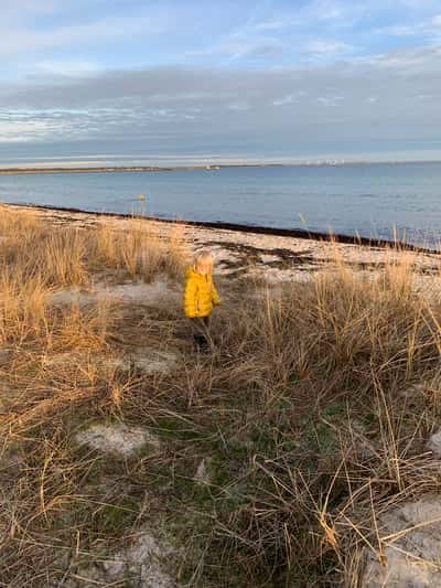 Inlägg 15 av Showridning med titeln Fysträning med minsta teammedlemmarna