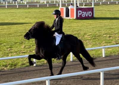 Inlägg 17 av Island med titeln SM SILVER 🥈🇸🇪