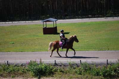 Inlägg 39 av Island med titeln Skillnad😻