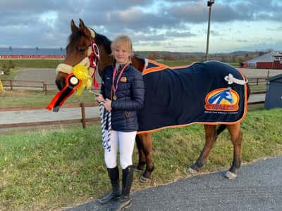 Post 7 of Dutch Riding Horse with title Klubbmester SORK 2021