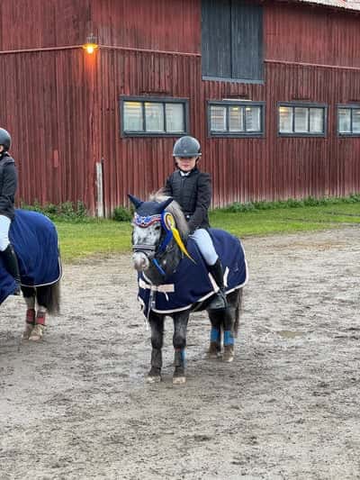 Post 135 of Show jumping with title Lag tävling 