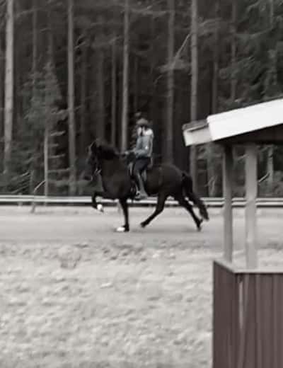 Hel från Snäcksjön