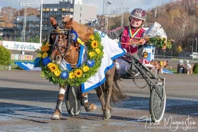 Inlägg 13 av Ponnytrav med titeln DPK’s ponnytravgala 