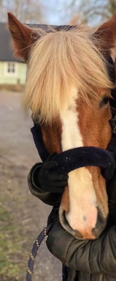 Inlägg 146 av Allround med titeln Hihi☺️