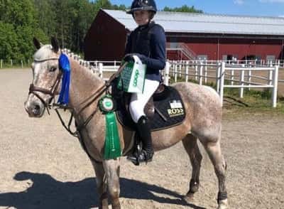 Post 33 of Show jumping