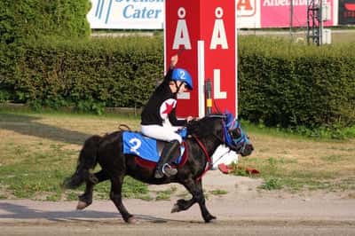 Inlägg 28 av Monté med titeln DPK’s ponnytravgala 2023🏆