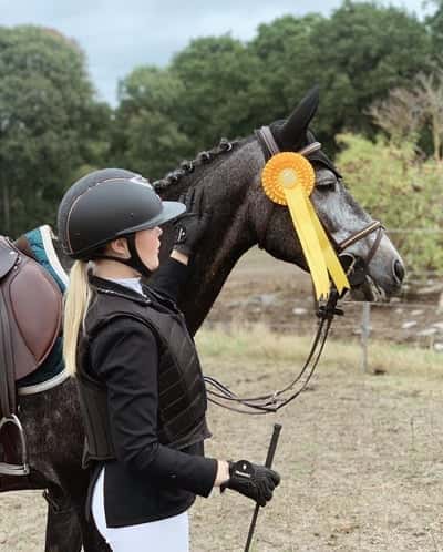 Post 381 of Show jumping with title Karlskrona