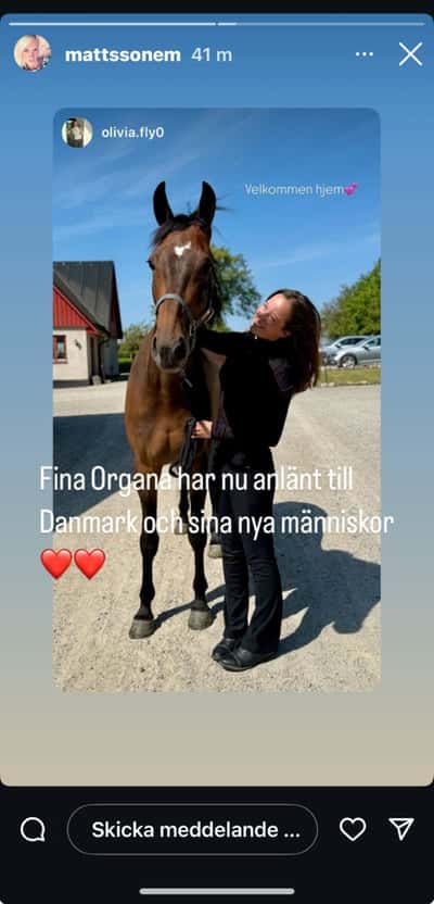 Inlägg 10 av Frihetsdressyr med titeln Hon har flyttat till Danmark 🇩🇰  💕