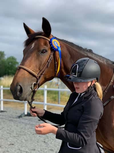 Post 446 of Show jumping