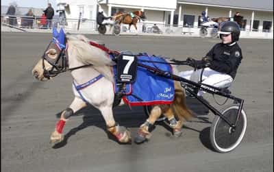 Inlägg 92 av Ponnytrav med titeln Ponnytrav 