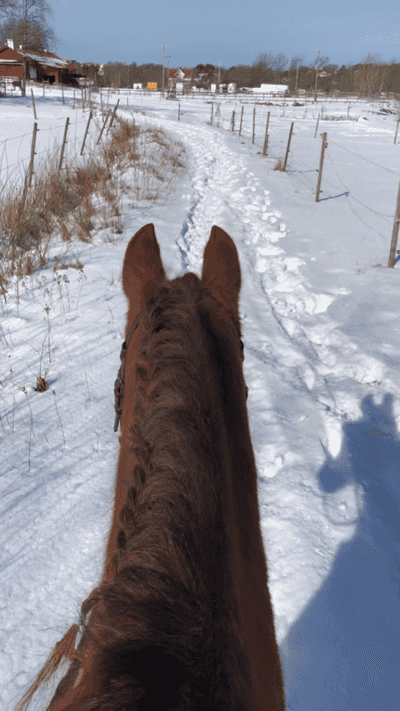 Inlägg 64 av Allround