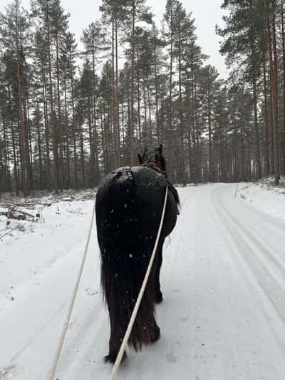 Inlägg 6 av Allround