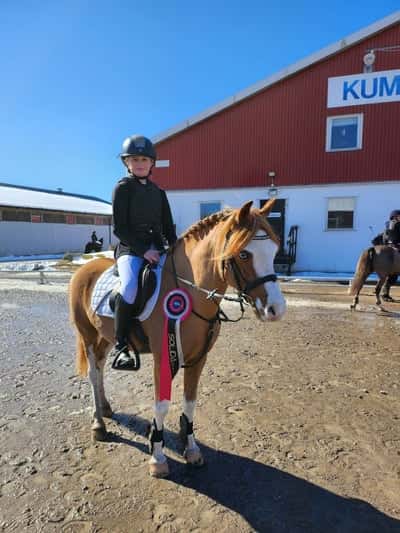 Post 226 of Show jumping with title ✨Vångsundas Paddington ✨ 💜💜💜