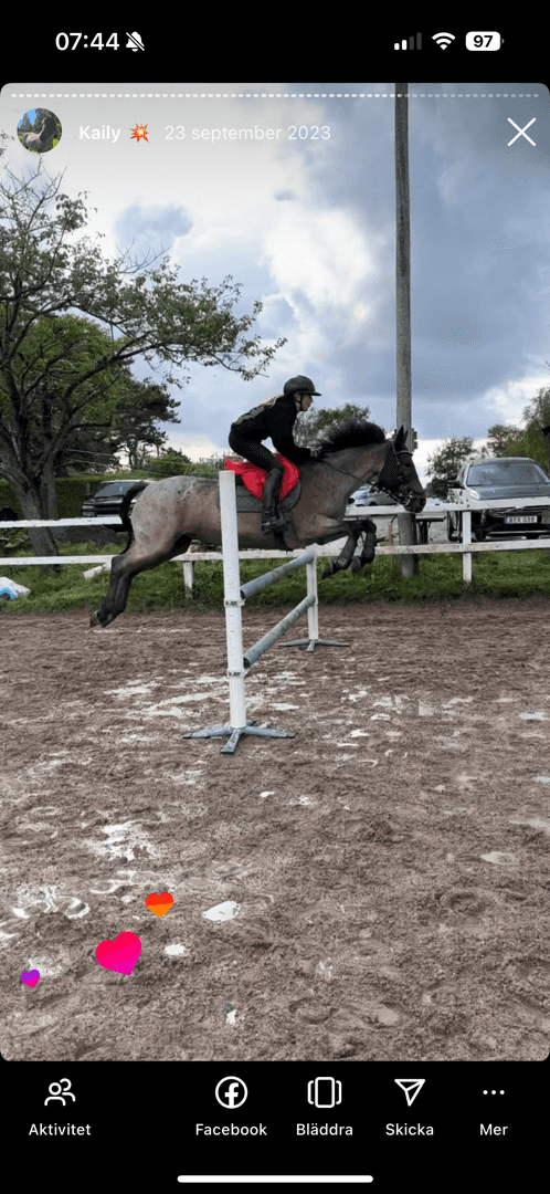 Bild av Äldre sto söker för alltid hem