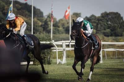 Inlägg 3 av Galopp med titeln Klampenborg 💚🤍💙