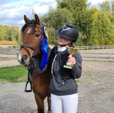 Post 52 of Show jumping