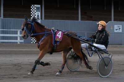 Inlägg 20 av Ponnytrav med titeln DPK’s ponnytravgala 2023 🏆