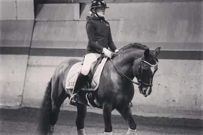 Inlägg 24 av Dressyr med titeln Tävling