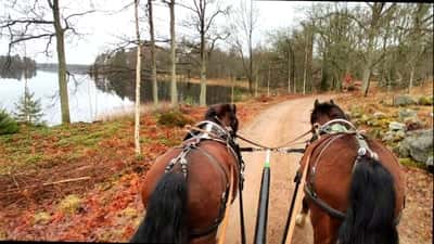 Inlägg 30 av Sportkörning med titeln 14 km med paret idag