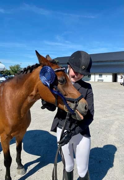 Post 397 of Show jumping