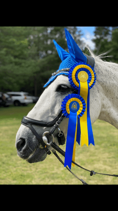Post 351 of Show jumping with title Billy föddes 2009