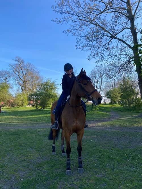 Bild av Fantastisk hobbyhäst