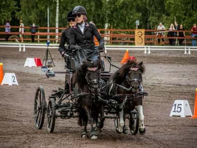 Inlägg 151 av Allround